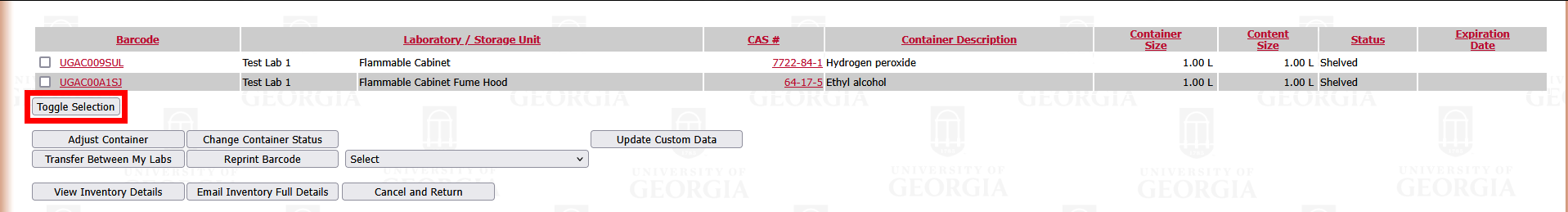 Inventory with Toggle Selection highlighted