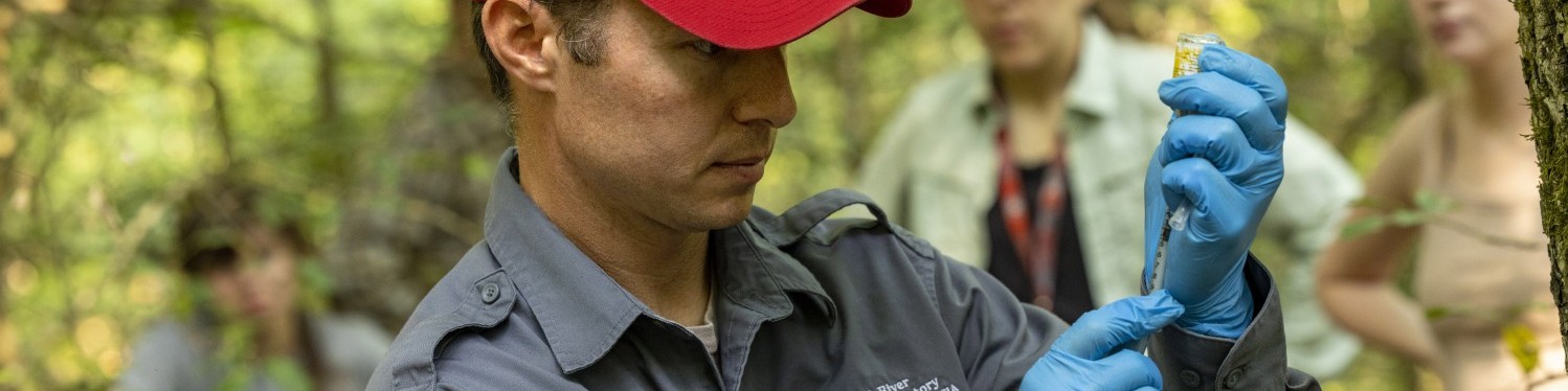 Researcher in red hat testing plants