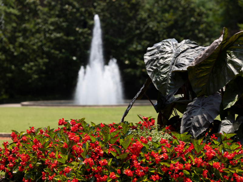 Request for Services